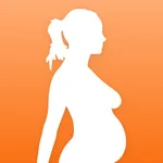 My Pregnancy Calculator icon