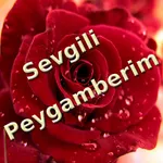 Peygamberim icon