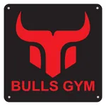 BullsPT & Boxing Studio icon