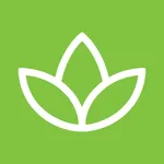 Quantum Health Wellbeing icon