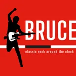 BRUCE icon