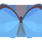 Butterfly Package icon