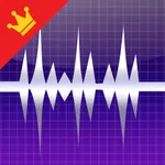 WavePad - マスター版 icon