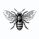 Buckbee Shop icon