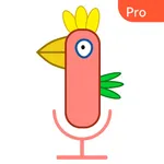 Parrot Recorder - Pro icon