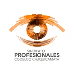 SINDPRO Codelco Chuquicamata icon