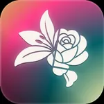 Toopdbq (トゥープドゥック) icon