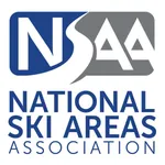 NSAA: DEI 101 icon