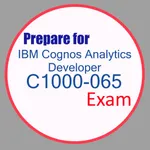 Questions for C1000-065 exam icon