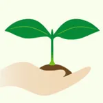 木をそだてよう！ icon