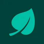 Budget Leaf icon