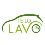 Te lo lavo icon