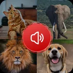 Animal Sounds Ringtone icon