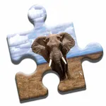 Elephant Love Puzzle icon