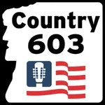 Country 603 icon