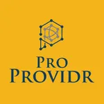 PROVIDR - PROFESSIONAL icon