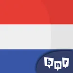 Learn Dutch (Beginners) icon