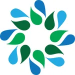 Social Strategies icon