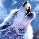 Wolf Adventure Game - Spin&Win icon