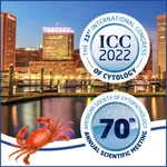 ICC ASC Joint Meeting 2022 icon