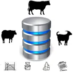 Wolfsdatasoft Collector icon