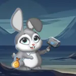 Crypto Bunny icon