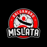 BALONMANO MISLATA icon