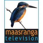 Maasranga Television icon