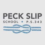 PS343 The Peck Slip School icon