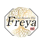 FreyaCarBeauty icon