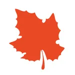 Winerie: Vinhos Incríveis icon