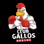 Gallos Boxing Timer icon