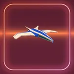 Fly-X icon