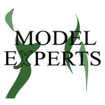 Model Experts icon