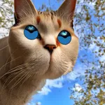 Motion Sensor NLK icon