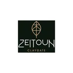 Zeitoun icon