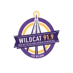 Wildcat 91.9 icon