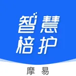 摩易智慧陪护 icon