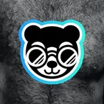 Bears Looking: Gay Dating Chat icon