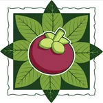 Mangosteen Ayurveda Resort icon