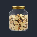 Multi-Currency Savings Tracker icon