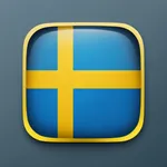 Swedish Dictionary icon