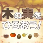 木の実をひろおう！ icon