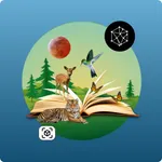 AR book - Book of wonders icon