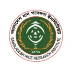 Rice Profile icon