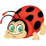 CoccinelleFamille icon