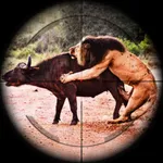 Animal Hunting Games Gun Games icon