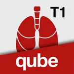 qubeT1 icon