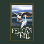 Pelican Hill Residence icon