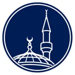 QMDI icon